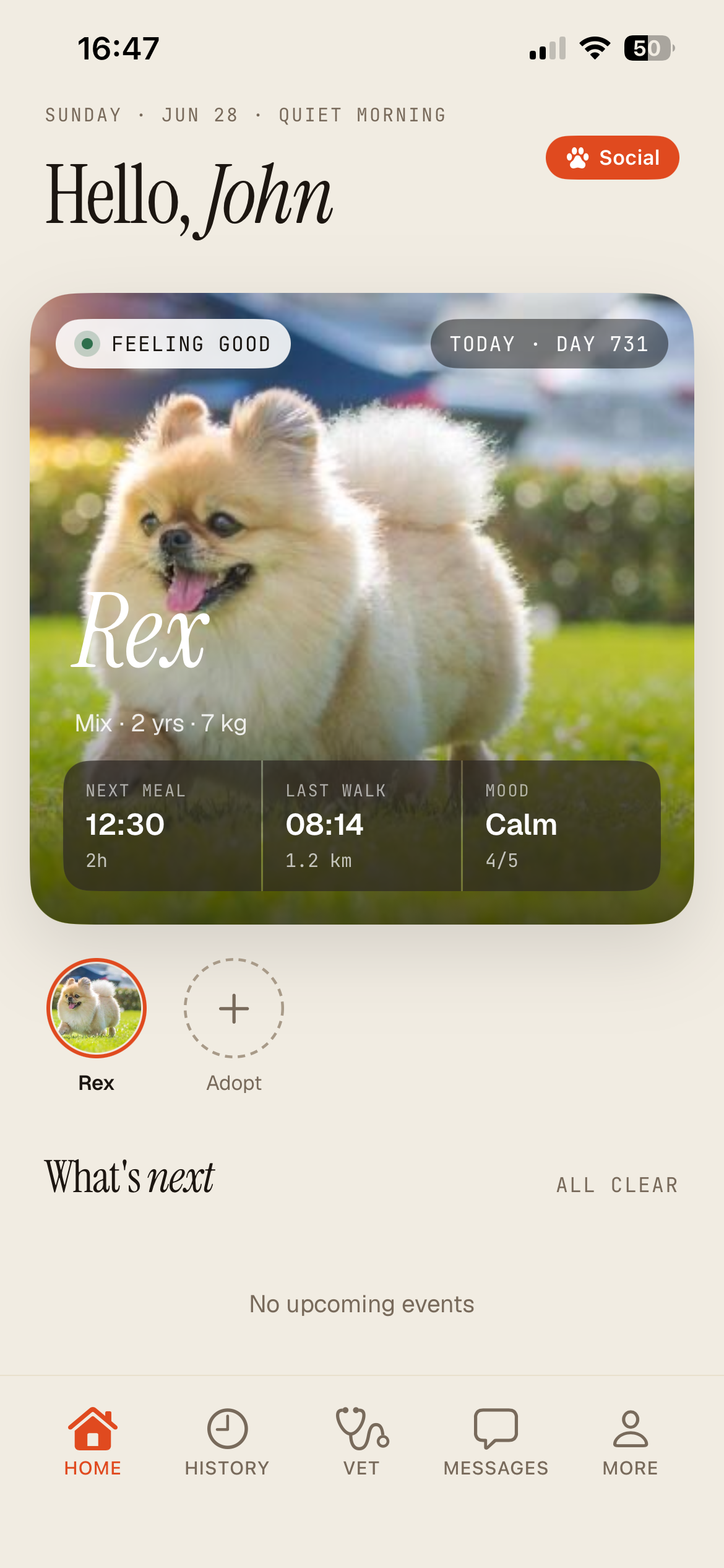 Home with a pet